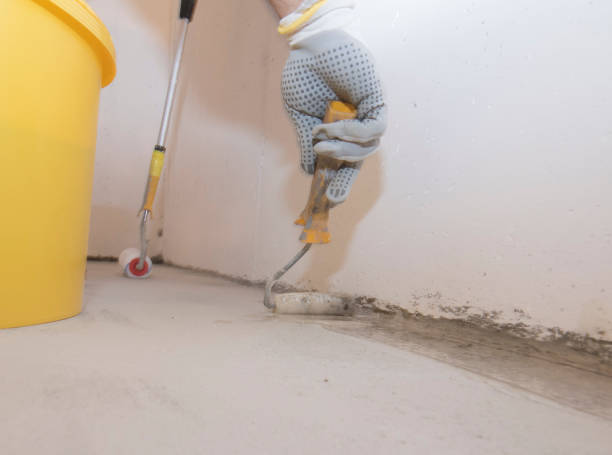 Best Fumigation Services  in Upper Exeter, PA